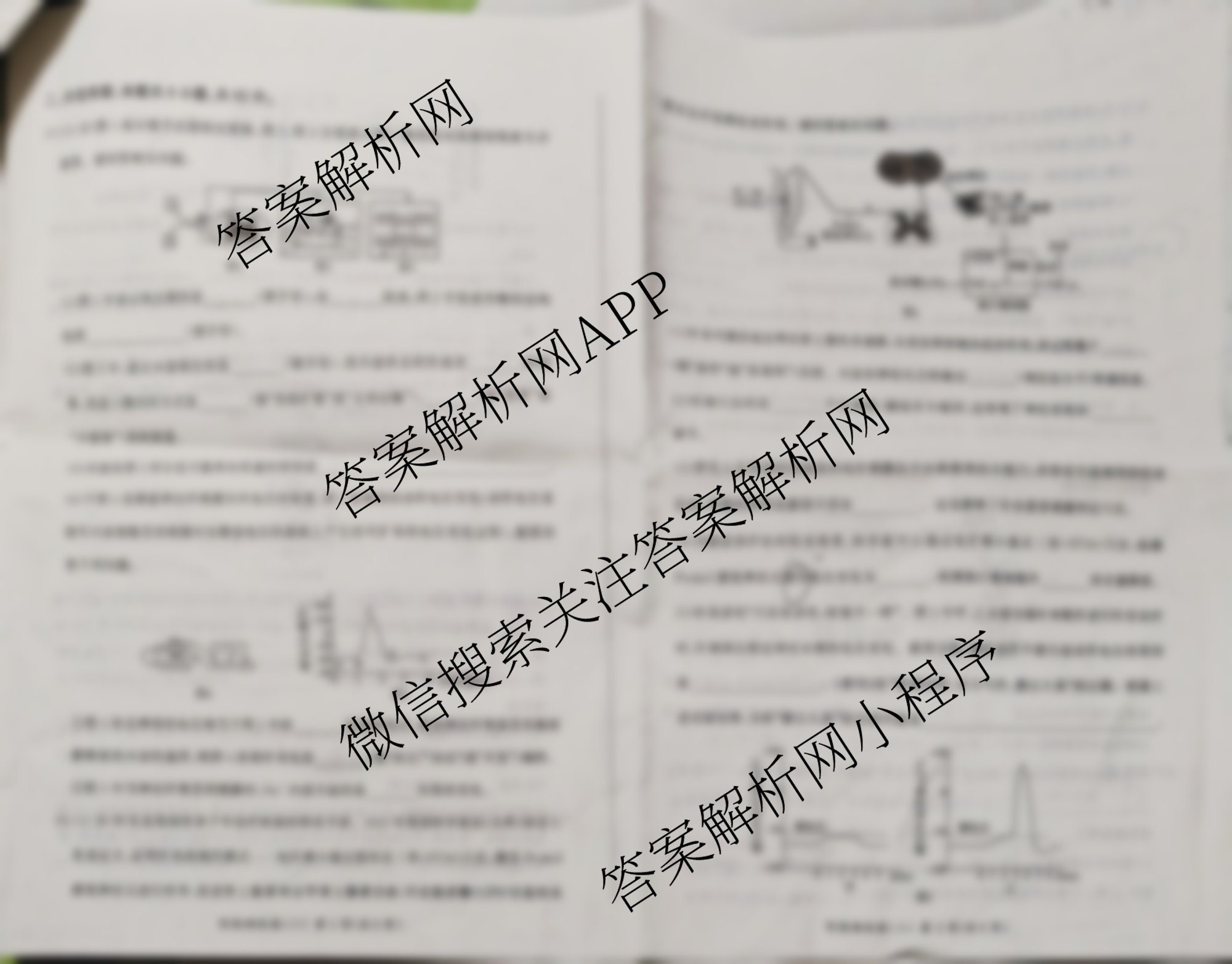 百师联盟2025-2026学年高二上学期阶段测试卷(二)2各科答案及试卷（含生物(75分钟多选)、数学(BSD)、数学(RB)等）生物试题