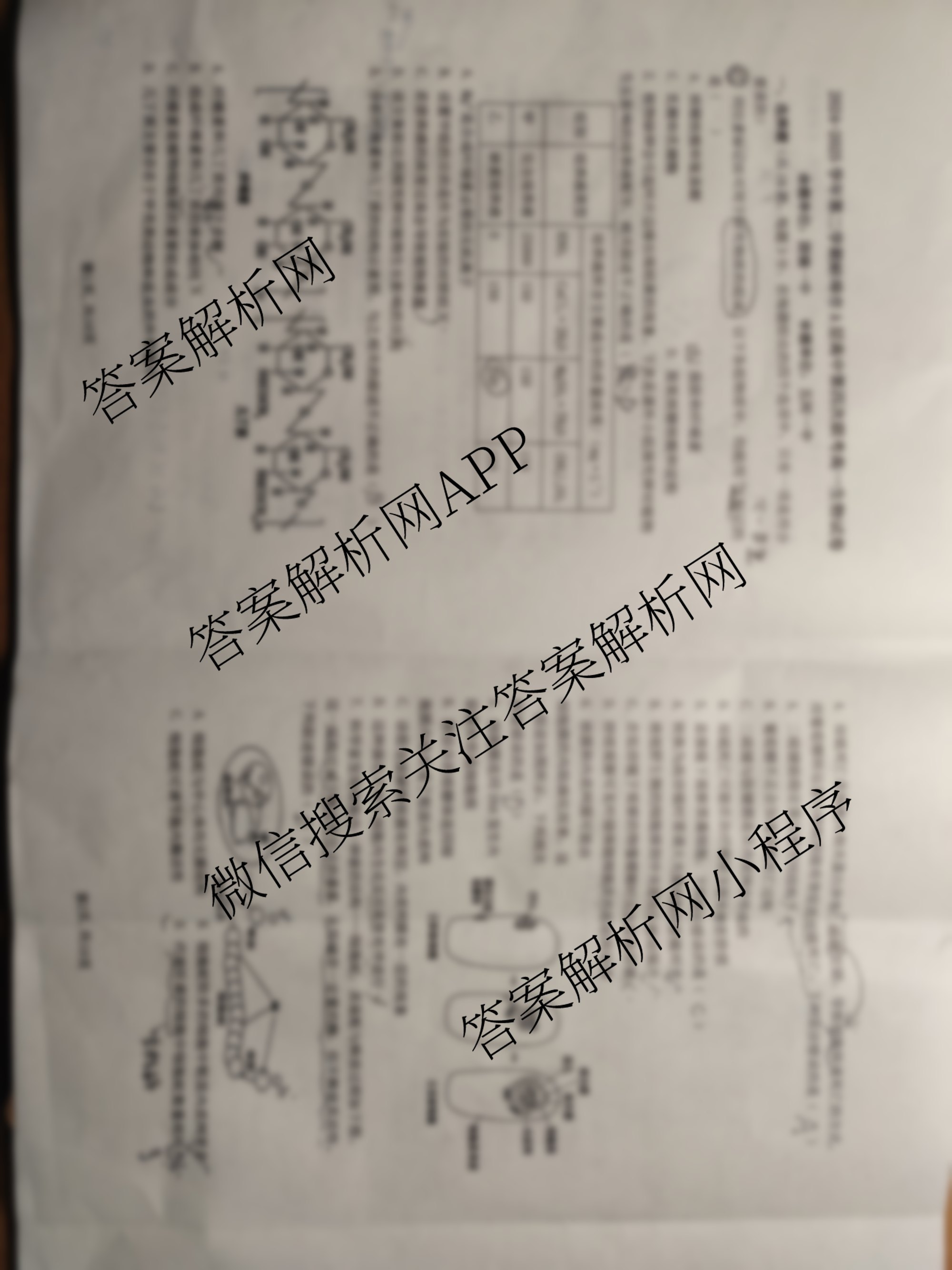安徽省2024-2025学年高一第二学期蚌埠市A层高中第四次联考各科答案及试卷（9科全）生物试题