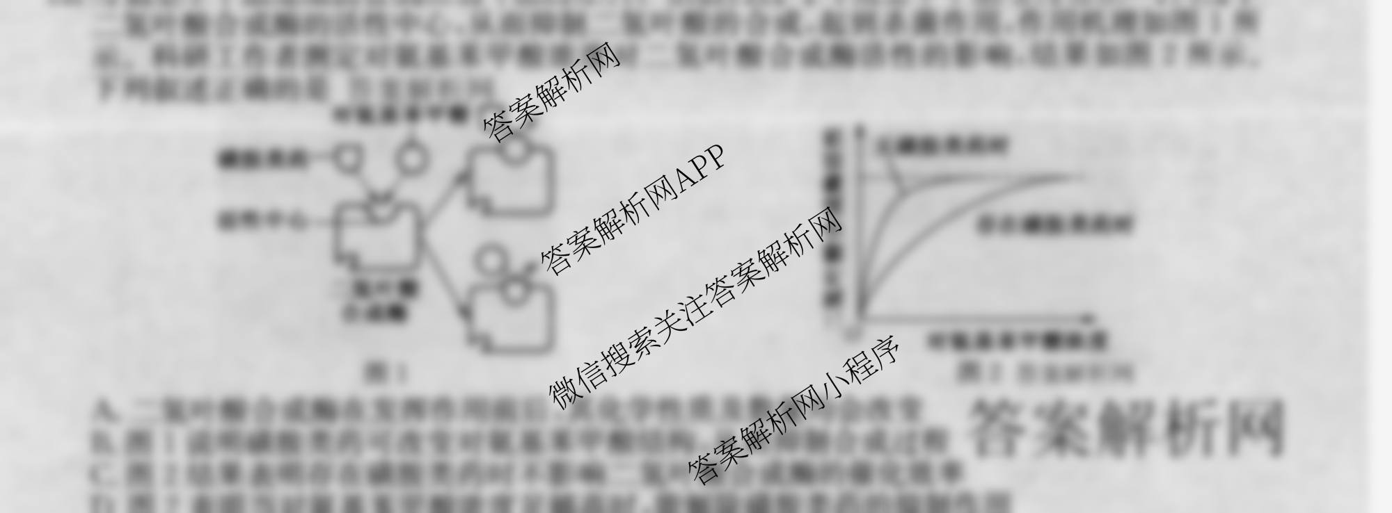 2026年全国高考冲刺压轴卷(六)6试卷及答案汇总（含地理(湖南) 政治(河南) 生物(湖北)等）生物试题