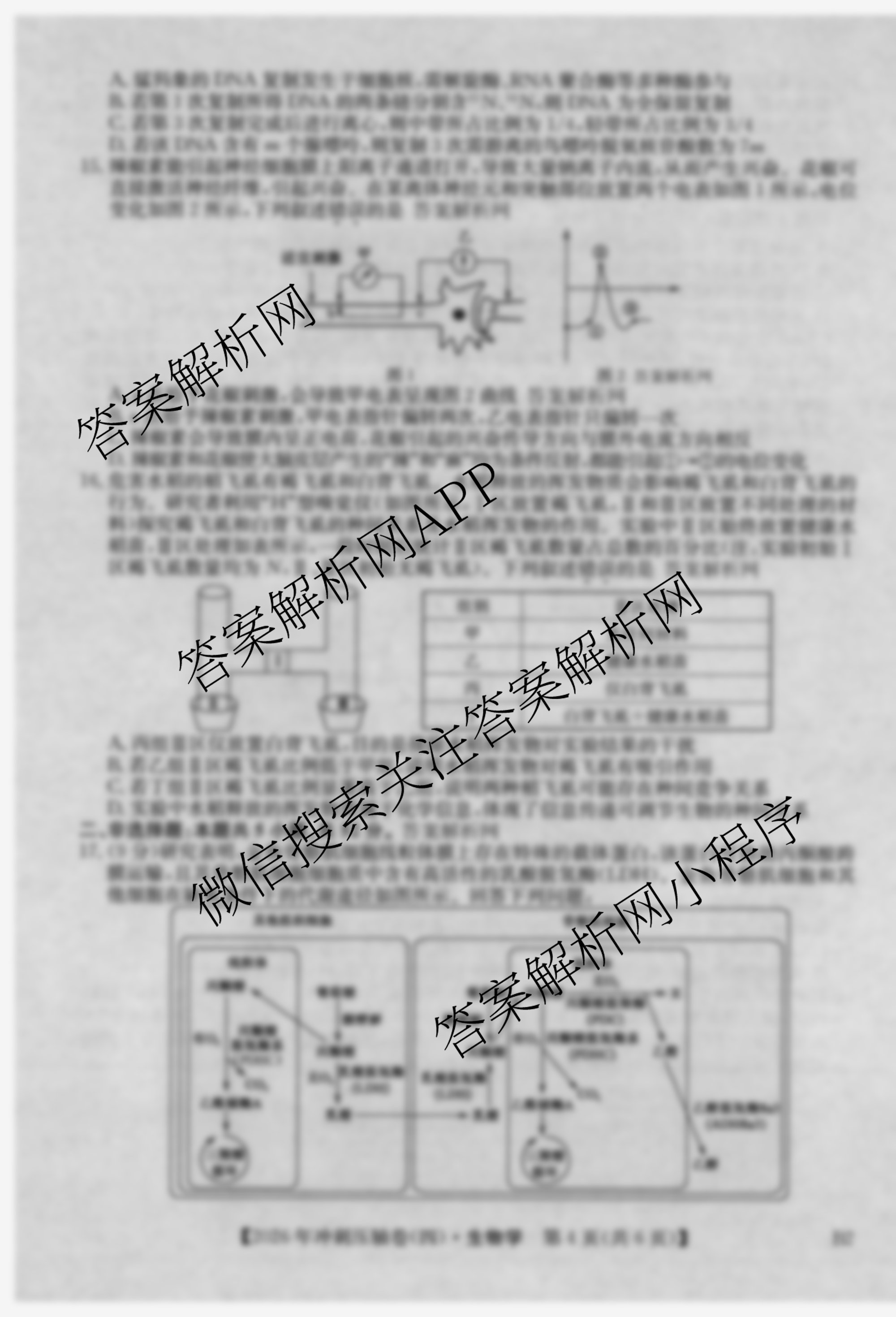 2026年全国高考冲刺压轴卷(四)4（含物理(AH) 数学 政治(湖北)等）生物试题