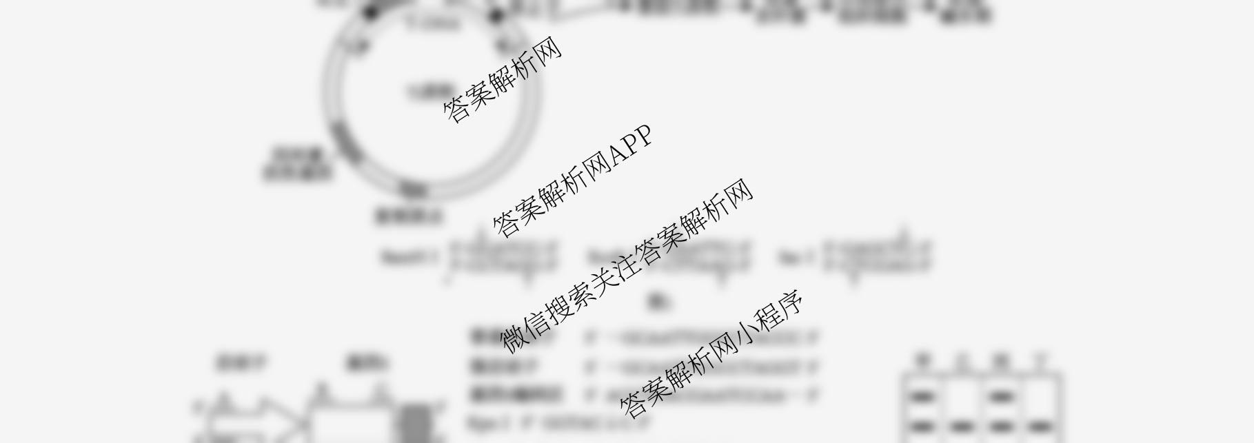 成都七中2025-2026学年度高三(上)一诊模拟检测各科答案及试卷（含化学、地理、数学等）生物试题