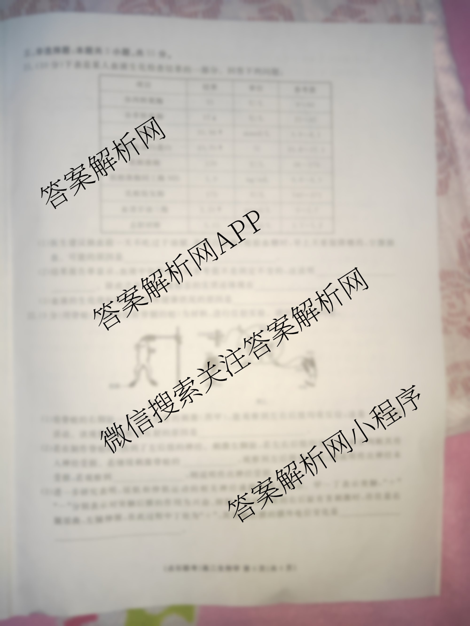 点石联考辽宁省2025-2026学年度上学期高二年级10月联合考试(10.9)（含数学 物理 英语等）生物试题