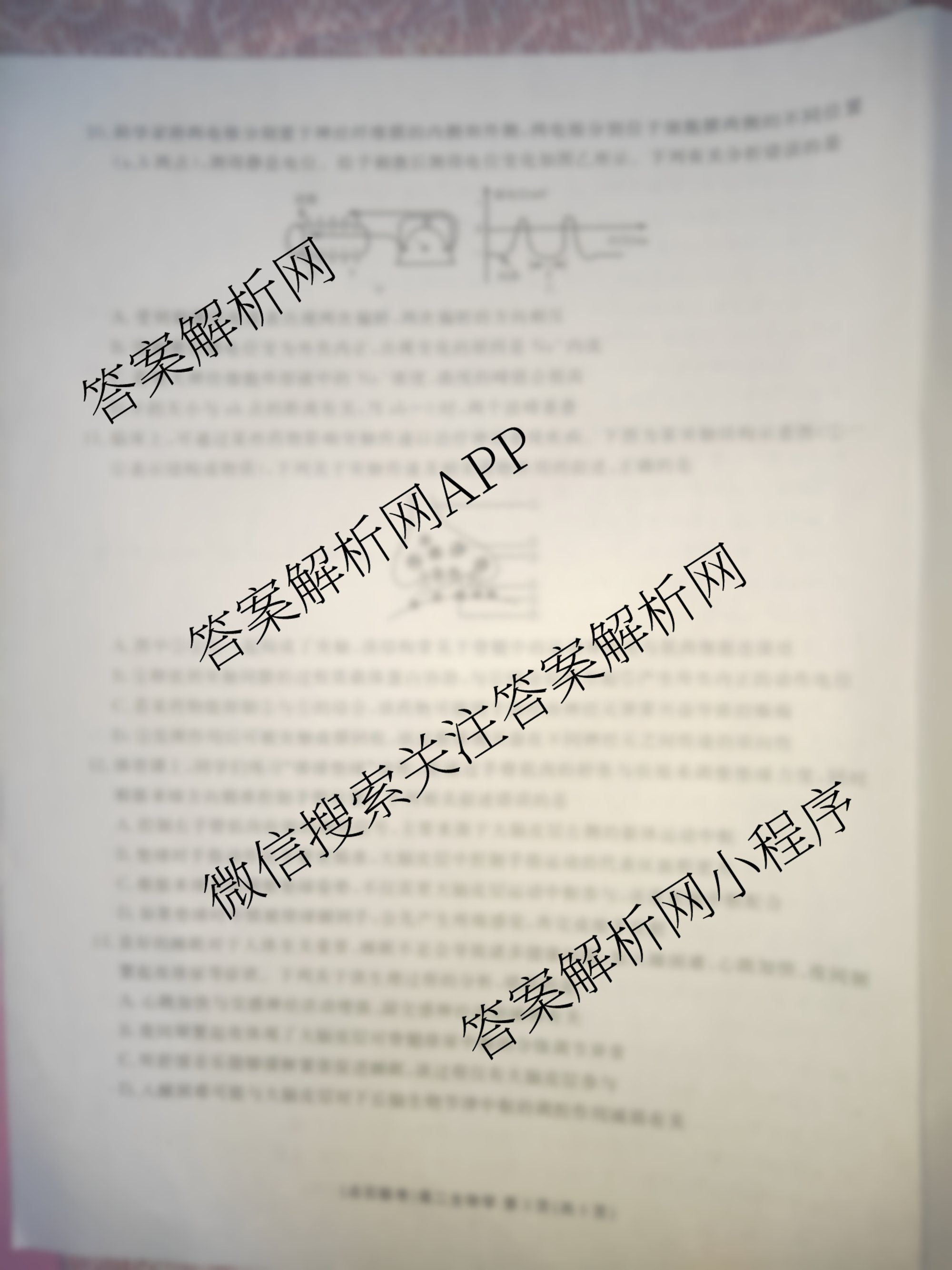 点石联考辽宁省2025-2026学年度上学期高二年级10月联合考试(10.9)（含数学 物理 英语等）生物试题