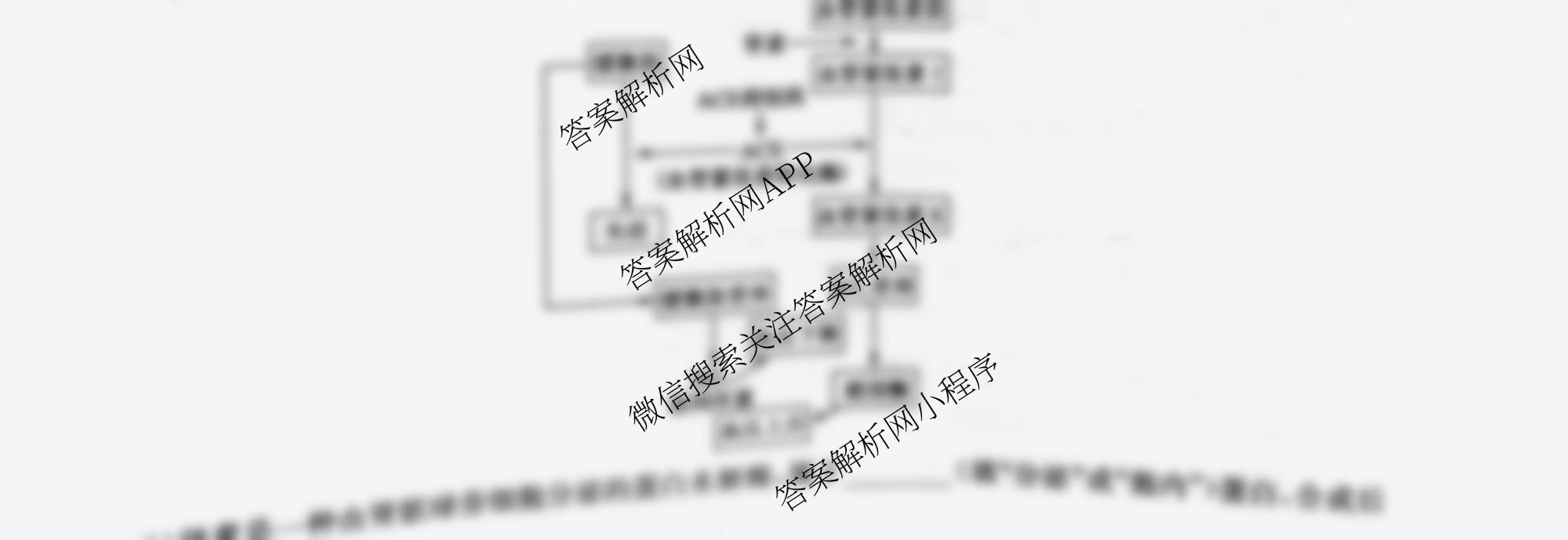 九师联盟2026届高三9月质量检测巩固卷(G)各科答案及试卷（含物理(N-G)、数学(X-G)、历史(H-G)等42份）生物试题