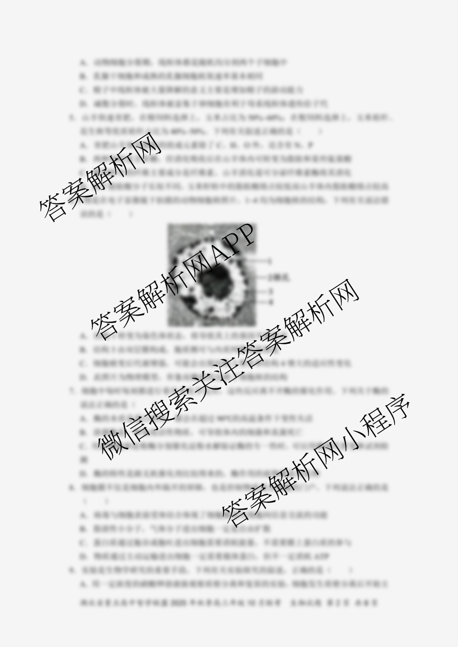 湖北省重点高中智学联盟2025年秋季高三年级10月联考各科答案及试卷（含化学、物理、英语等）生物试题