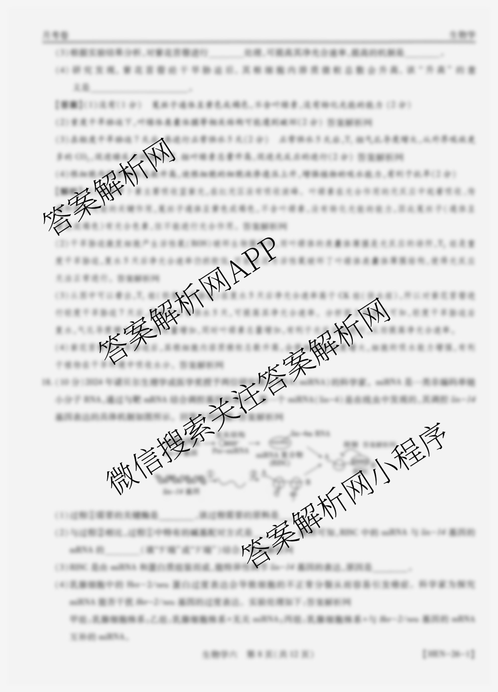 智慧上进2026届高三总复双向达标月考调研卷(六)6（含历史 地理(HEN) 英语(I)等）生物答案