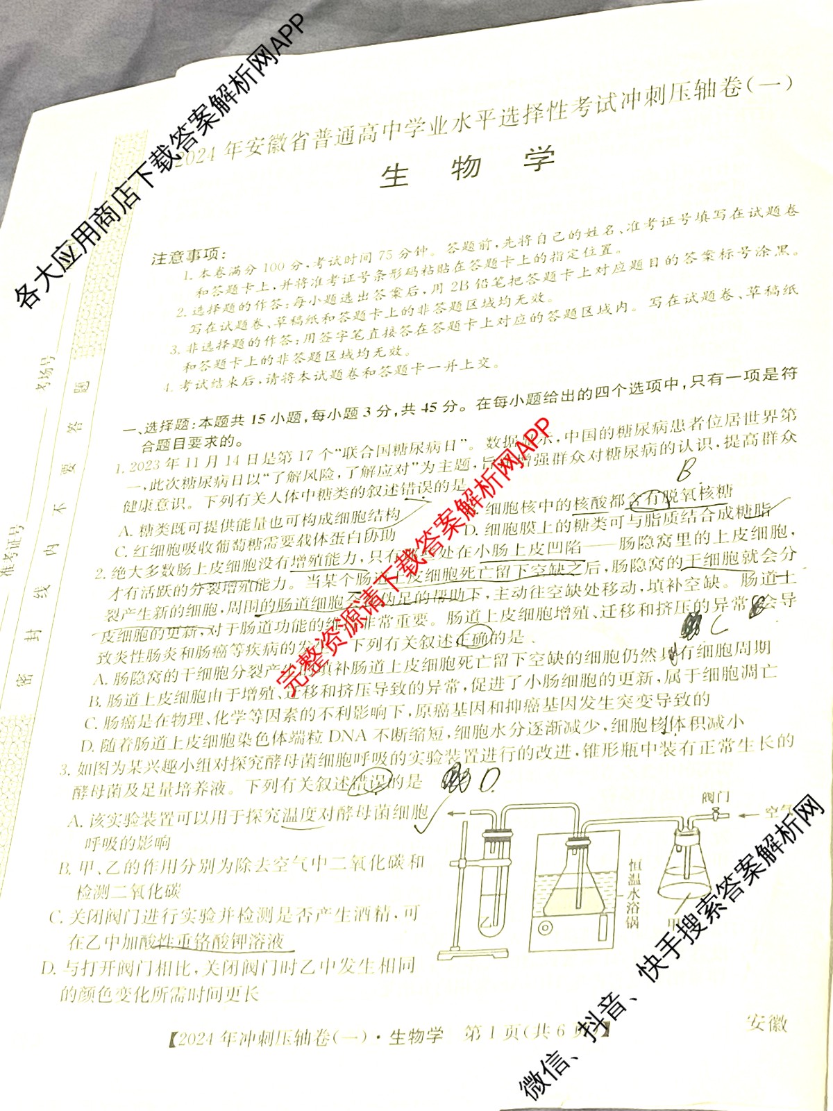 2024年安徽省普通高中学业水平选择性考试冲刺压轴卷(一)生物(安徽)试题