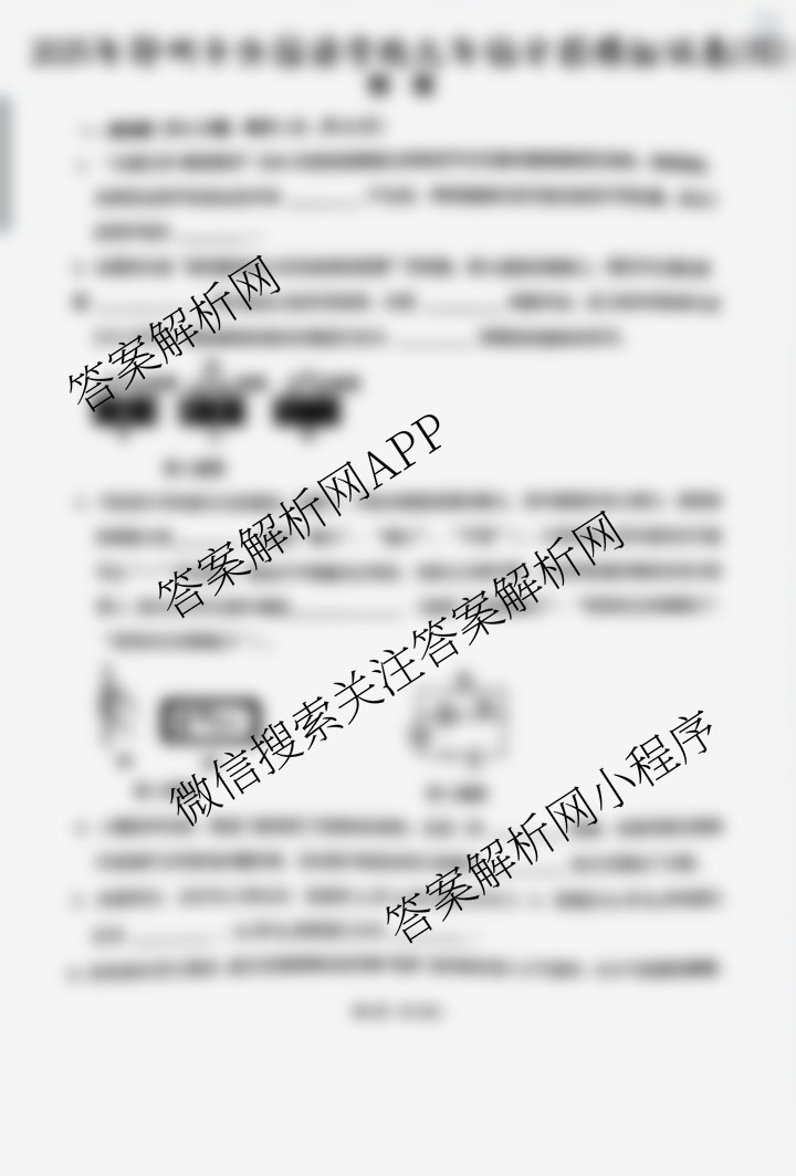 2025年郑州市外国语学校九年级中招模拟试卷(四): 含语文、数学、英语试卷解析物理试题